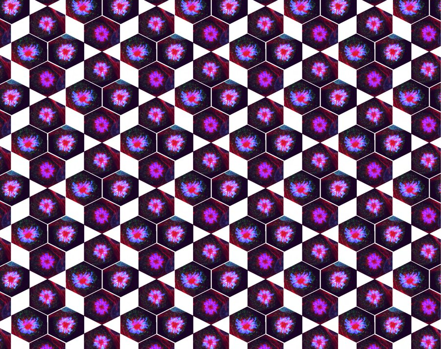 Repeating hexagonal tiles, each holding a magenta and blue monopolar spindle, separated by white
