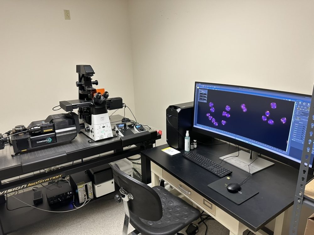 New spinning disk confocal microscope with a monitor showing fluorescent cells